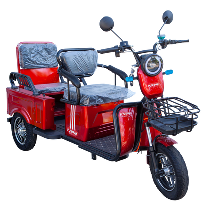 3000 Mobility Scooter